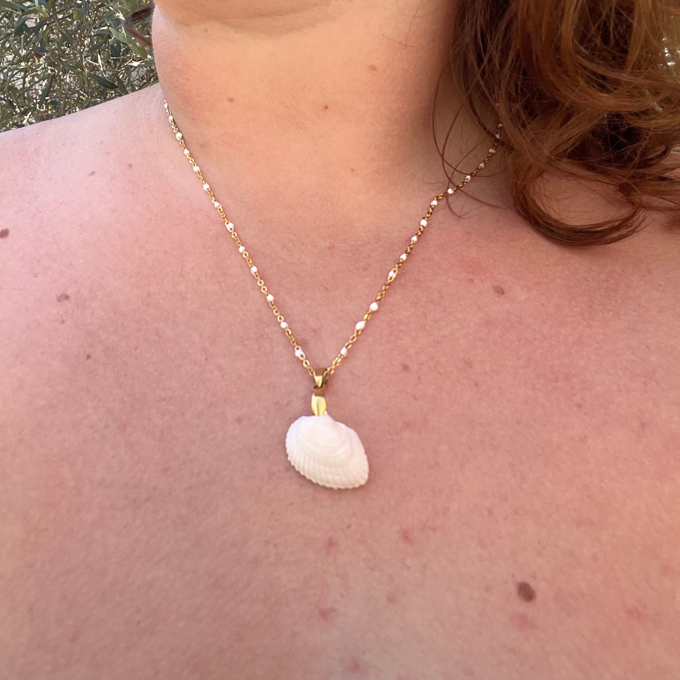 Collier "Shell" en acier inoxydable